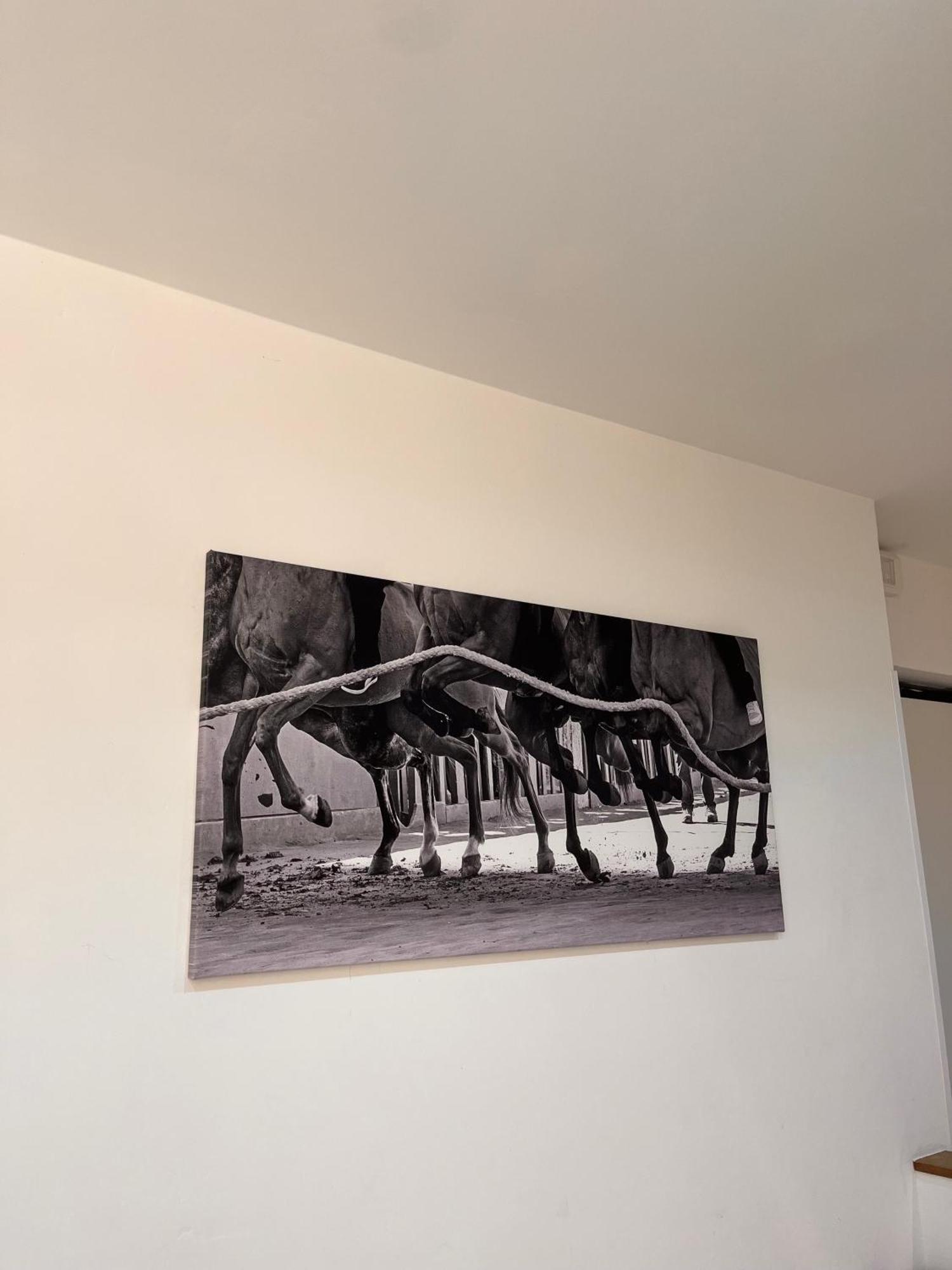 La Casa Del Palio Apartment Siena Ngoại thất bức ảnh